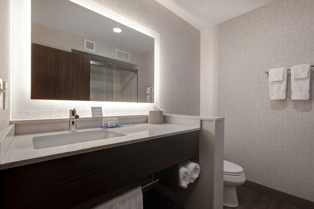 Holiday Inn Express & Suites Detroit Dearborn by IHG - photo 39