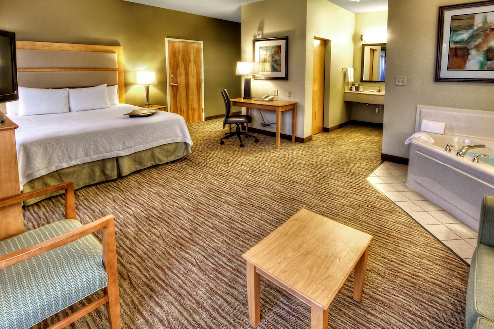 Hampton Inn & Suites Kalamazoo Oshtemo - photo 20