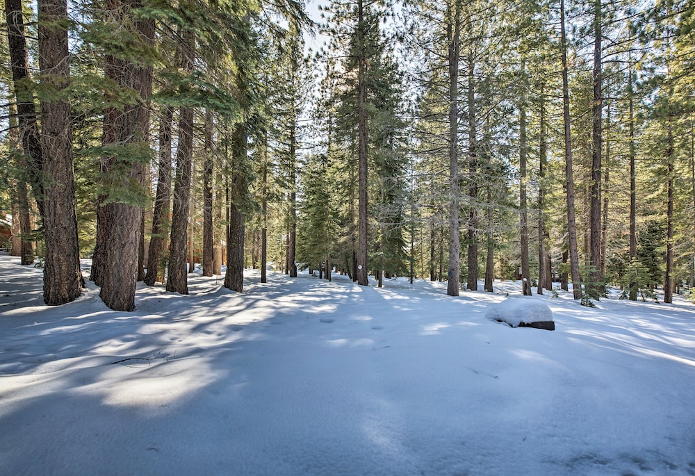 Cabin Less Than 2 Mi to Tahoe Donner Downhill Ski Resort - photo 9