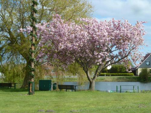 Diekkieker in Unknown City, Germany