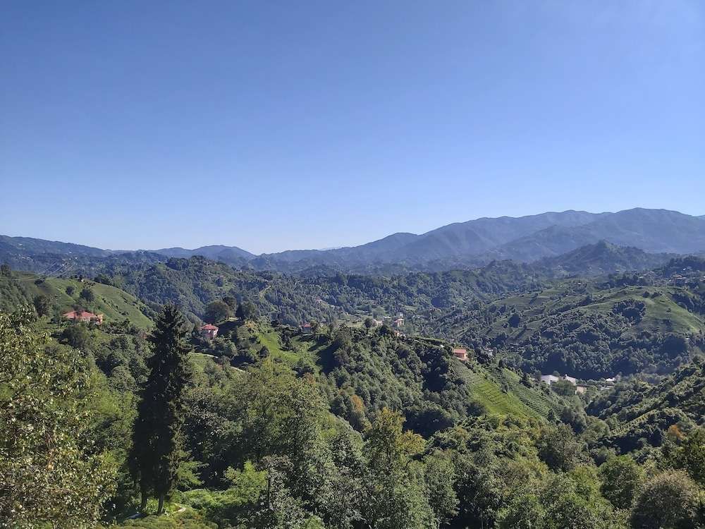 Özel Tatil Evi — hotel in Cayeli
