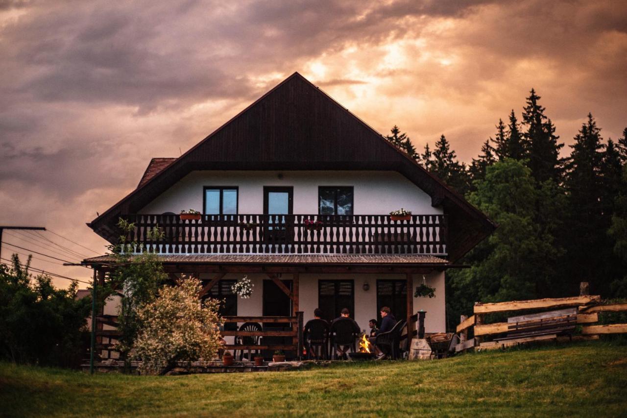 Apartmany Ve Mlejne in Pilsen, Czech Republic