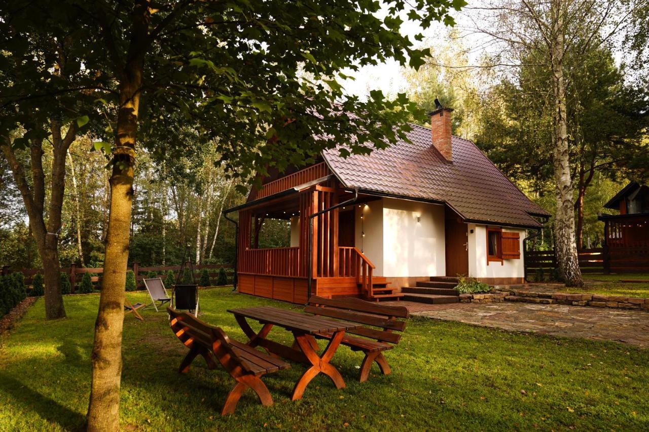 TO TU Chańcza Duży Domek — hotel in Rakow