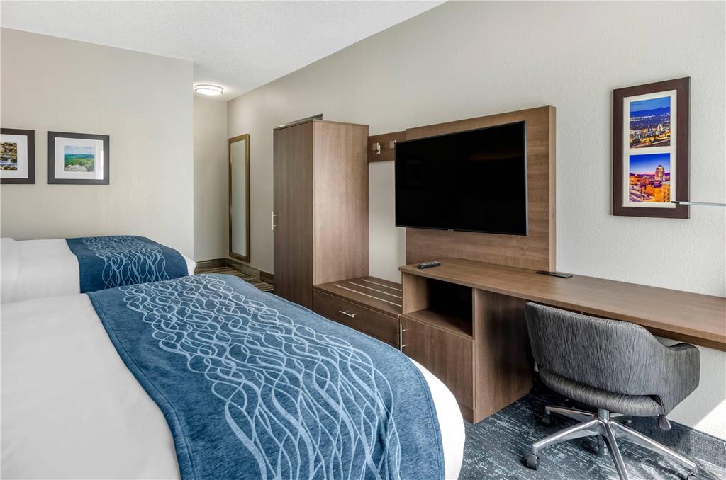 Comfort Inn & Suites Troutville Roanoke North - photo 18