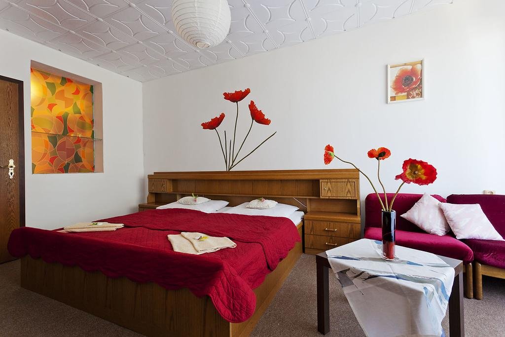 Hotel Pavla Vysočina — hotel in Vlachovice