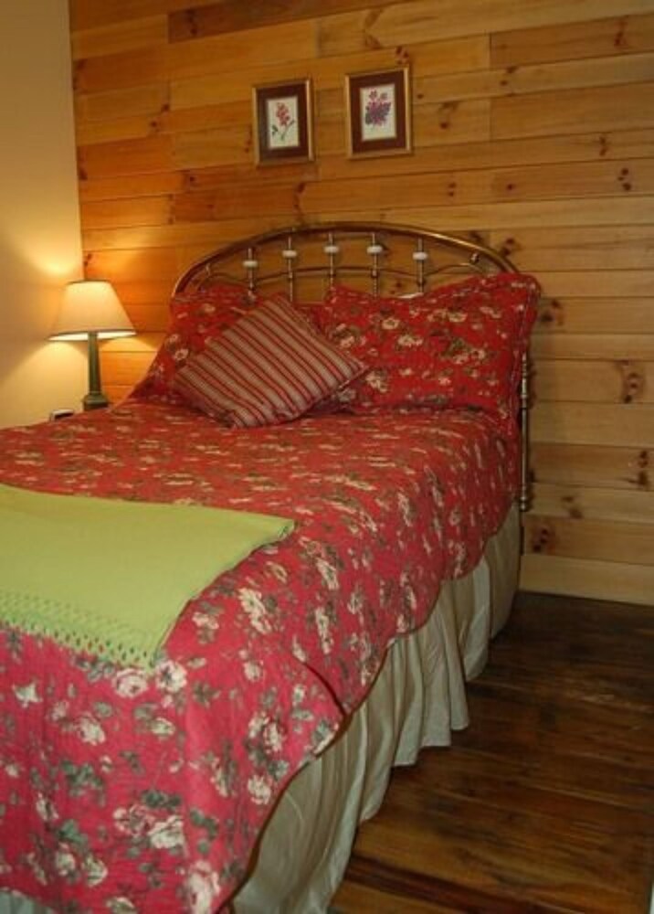 The Cabins at Healing Springs - photo 8