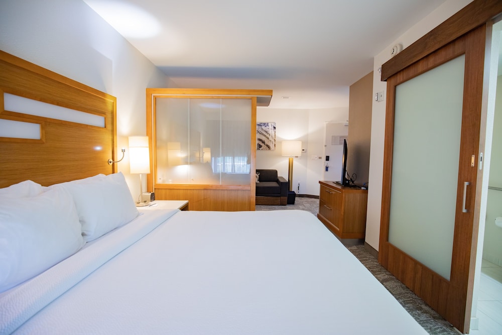 SpringHill Suites by Marriott Baton Rouge Gonzales - photo 11