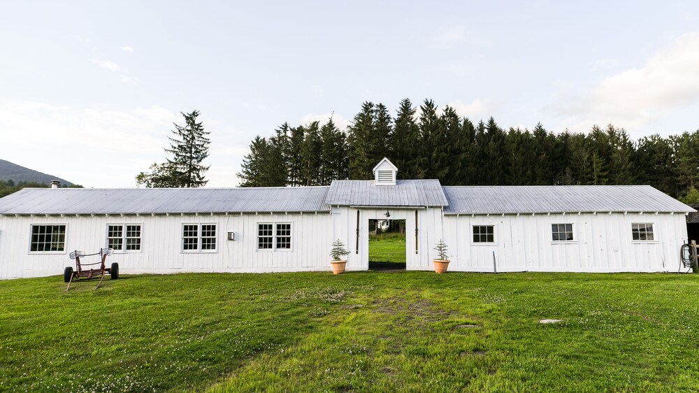 Edson Hill - photo 146