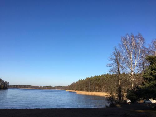 Mazury w Pigułce domek z sauną i balią Woszczele — Elk — photo 5