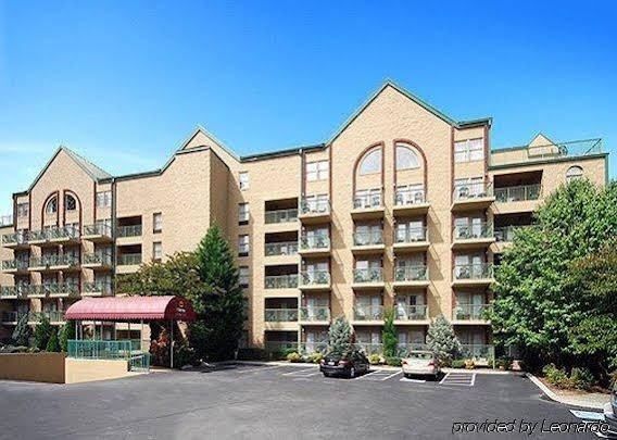 Black Bear Inn & Suites - photo 4