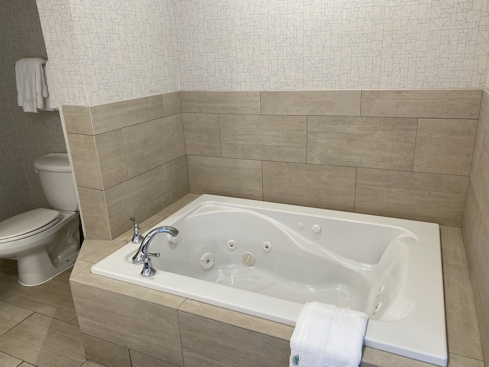 Holiday Inn Express Hotel & Suites El Dorado Hills - photo 54