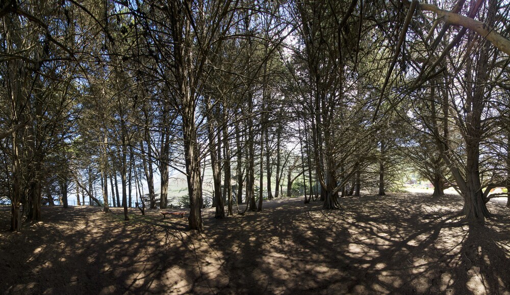 Ragged Point Inn and Resort - photo 50