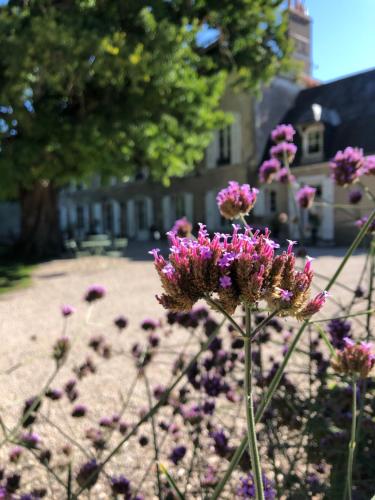 Domaine Saint Hilaire — hotel in Meung-Sur-Loire