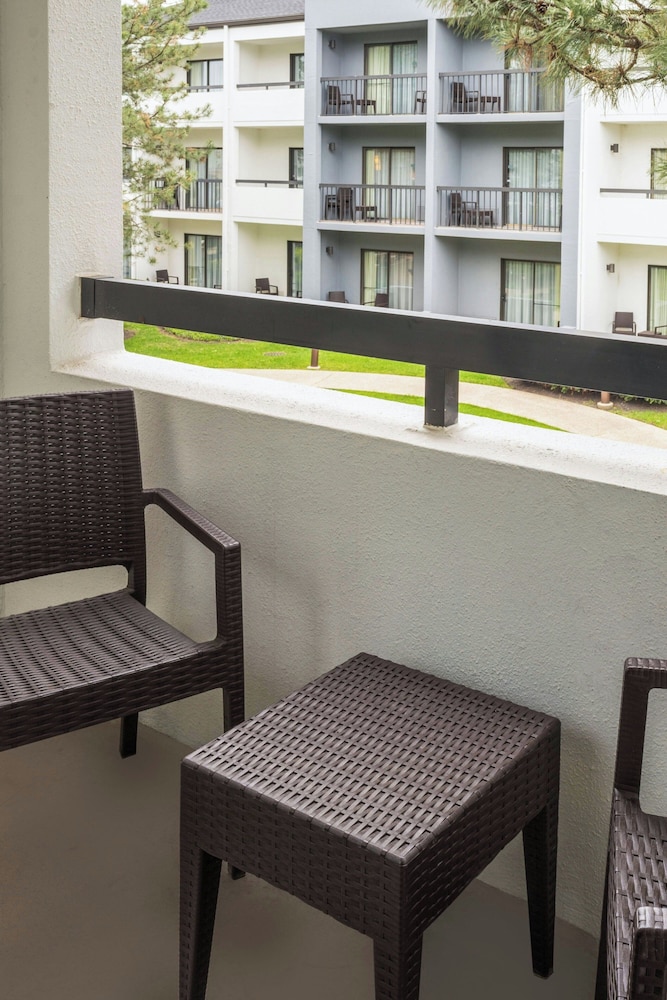 Courtyard by Marriott Chicago Wood Dale - photo 37