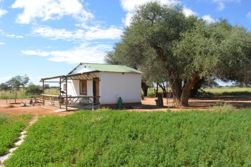 Ouhave Country Home — Otjiwarongo — photo 5