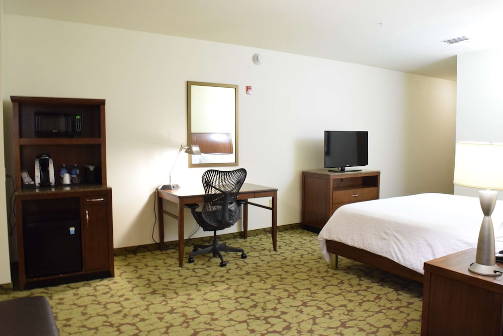 Hilton Garden Inn Rochester Downtown NY - photo 13