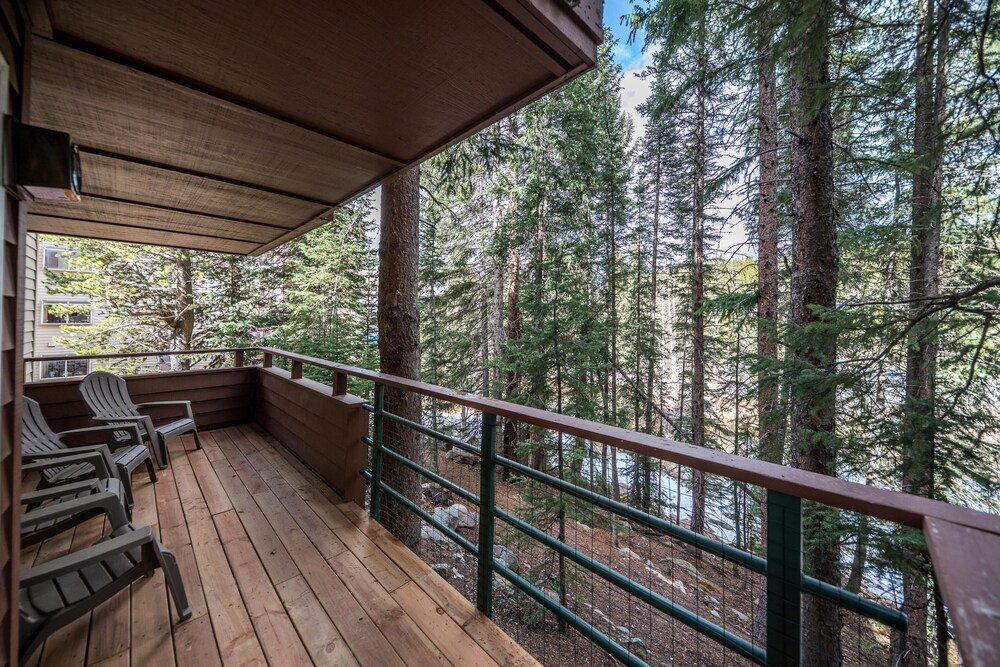 Iron Horse by Stay Winter Park - photo 53