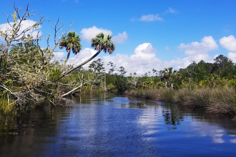 Steinhatchee River Inn - photo 60