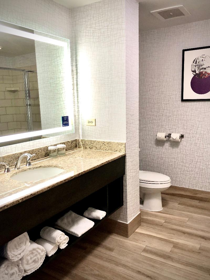 DoubleTree by Hilton Chicago O'Hare Airport Rosemont - photo 81