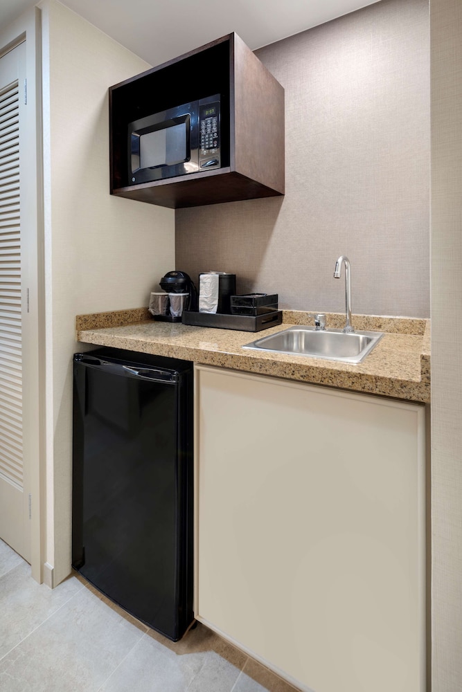 Embassy Suites by Hilton Detroit Troy Auburn Hills - photo 23