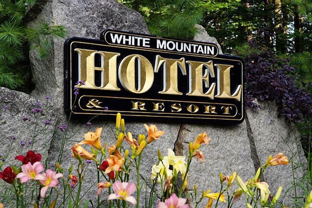 The White Mountain Hotel & Resort - photo 35