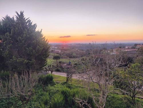 A Casa das Tias — Benedita — photo 5