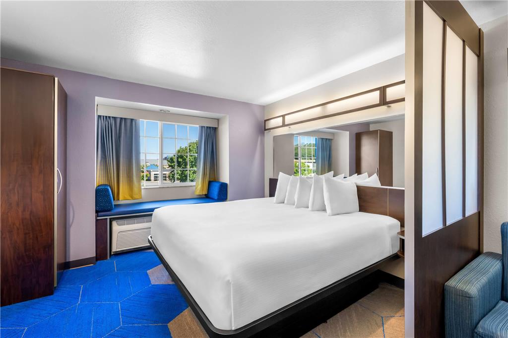 Microtel Inn & Suites by Wyndham Conway - photo 25