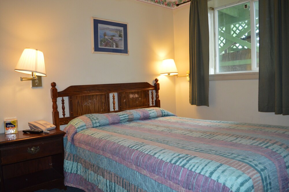 Chelsea Inn Hotel - photo 10