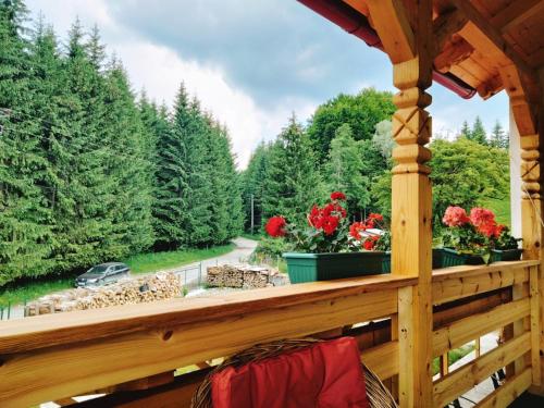 Poiana Sașilor Valea Doftanei — hotel in Traisteni
