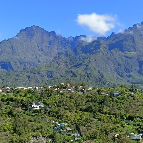 Petite fleur de lentilles in Cilaos, Réunion