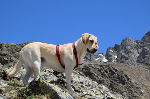 Niederhaeusererhof — Falzes — photo 4