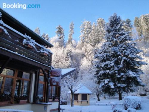 Hotel Au Vieux Moulin in Niederbronn-Les-Bains, France