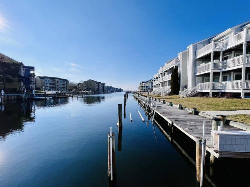 Canal Front with Swimming Pool and Grill - carbon neutral hotel in Ocean City