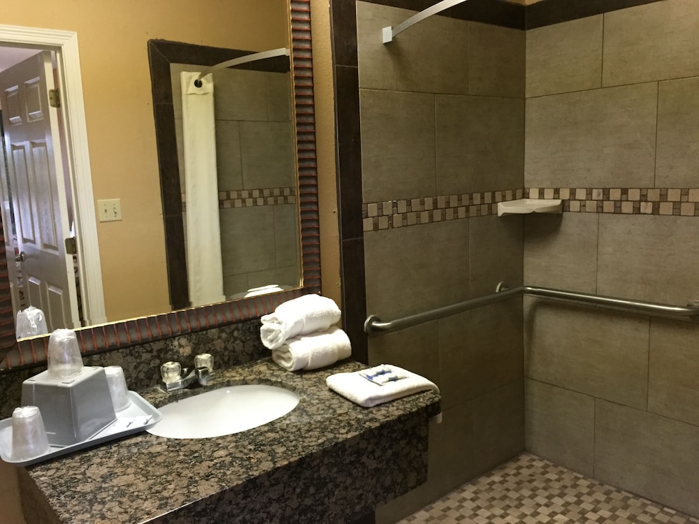 Texas Inn Alamo - photo 9
