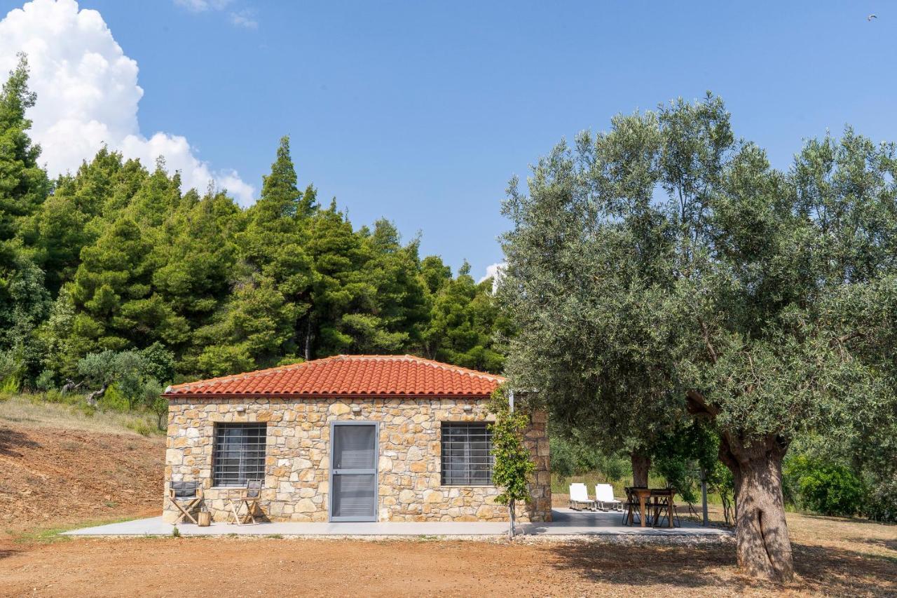 The Ideal Secluded Retreat in Nikiti, Greece
