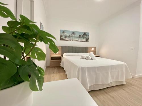 The Sun City Apartment — Puerto De La Cruz — photo 4