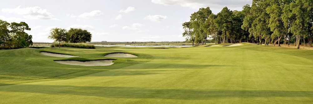 The Westin Savannah Harbor Golf Resort & Spa - photo 58