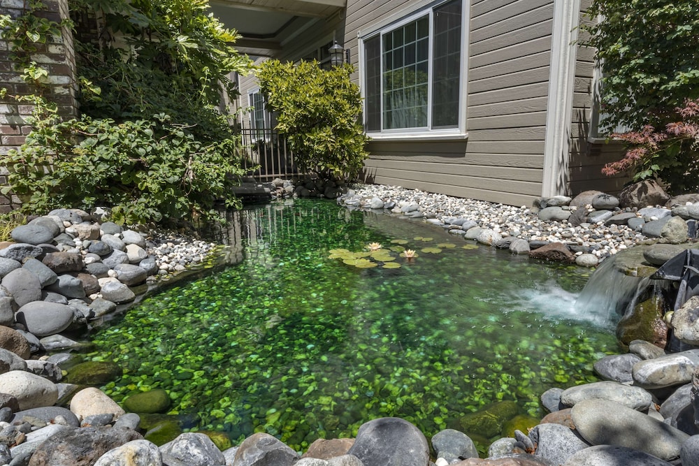 Hampton Inn Ukiah CA - photo 53