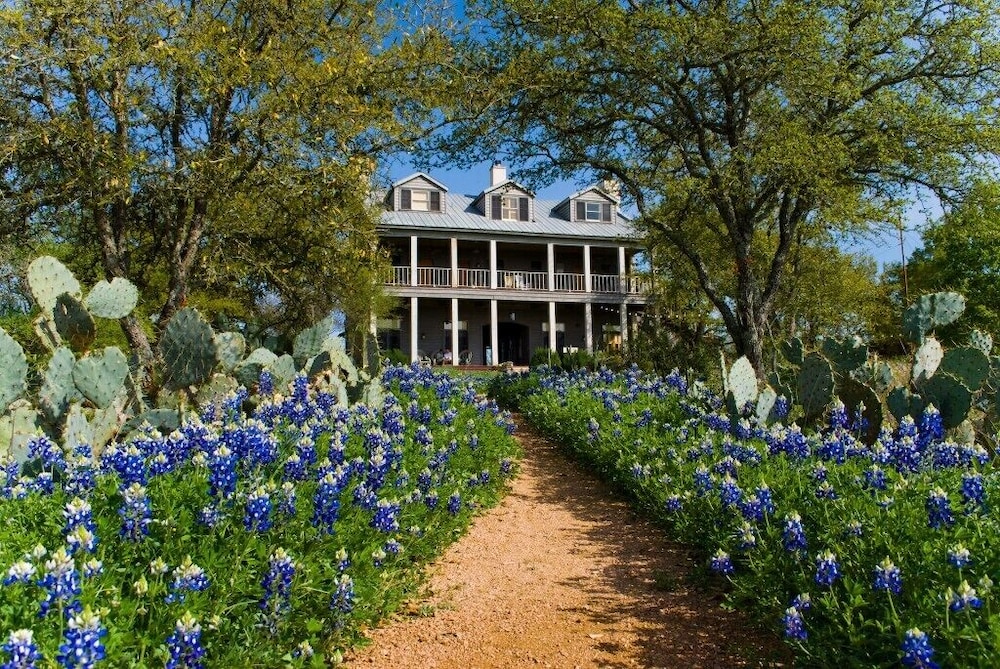Sage Hill Inn & Spa - photo 261
