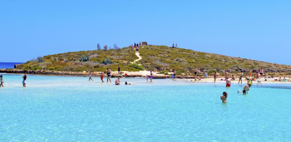 Beautiful Apartment With Communal Pool Protaras Apartment 1287