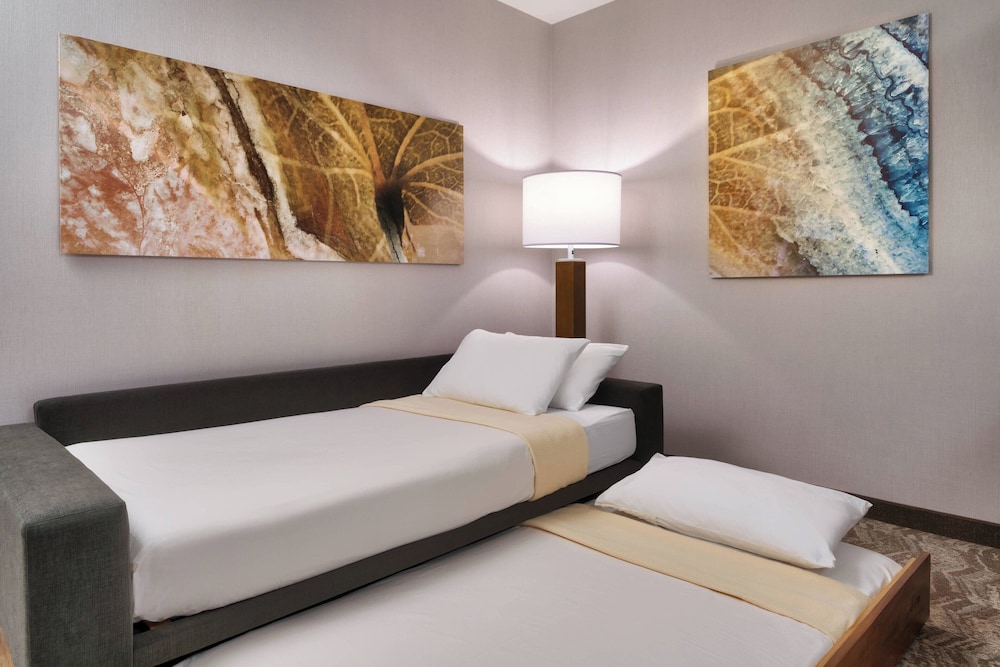 SpringHill Suites by Marriott El Paso Airport - photo 12