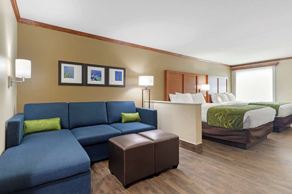 Comfort Suites West Monroe near Ike Hamilton Expo Center - photo 24