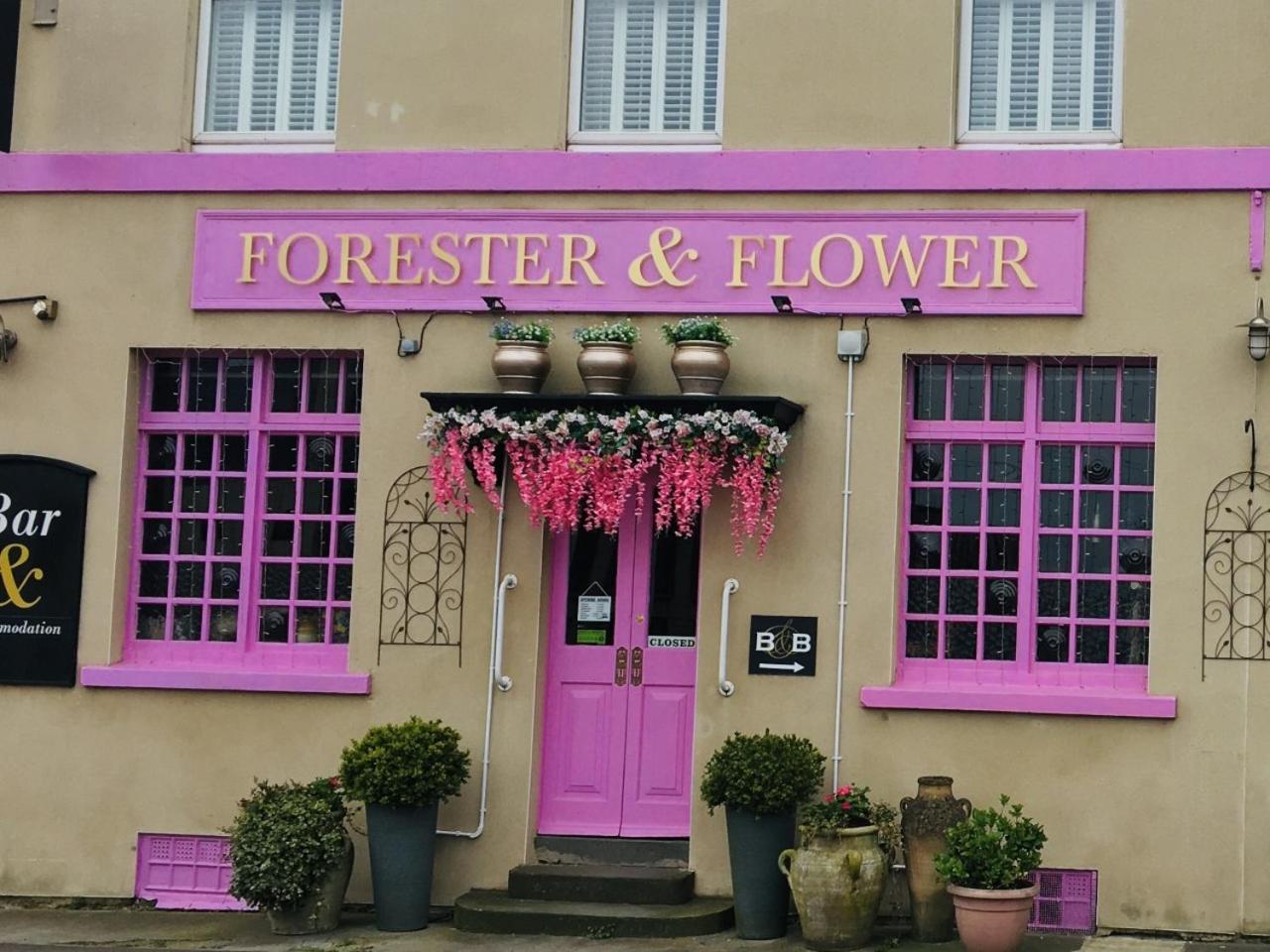 The Forester And Flower in Bath, United Kingdom