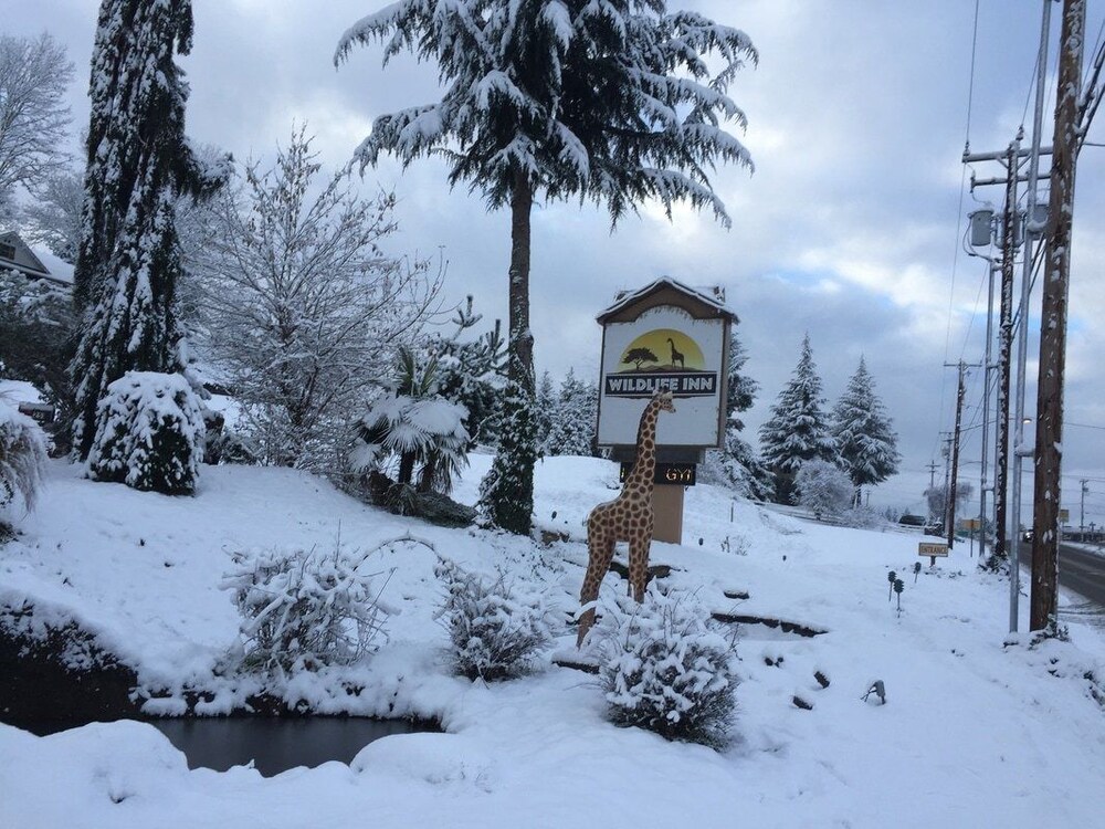 Wildlife Inn - photo 14