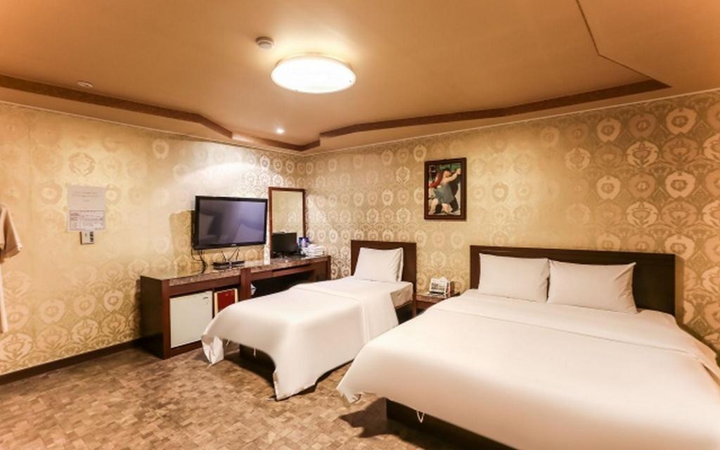 Cats Motel in Gangneung, South Korea