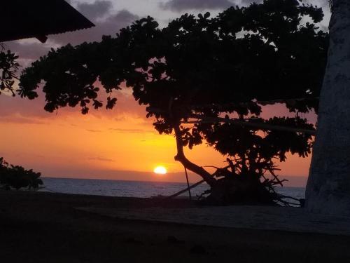 Junior and Nemesia's Cottages — hotel in Baclayon