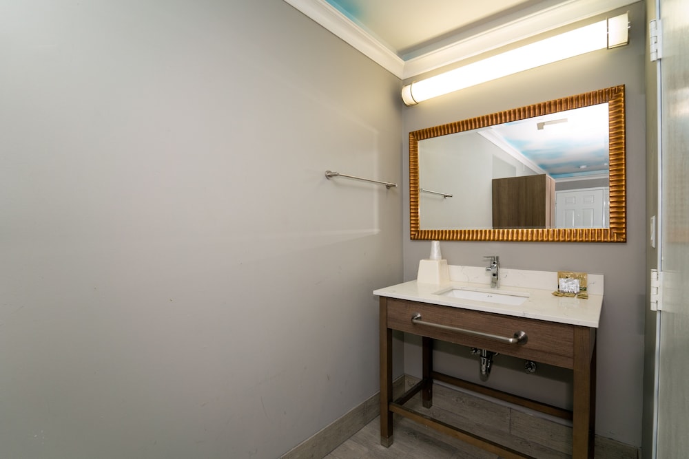 Hollywood Palms Inn and Suites - photo 66