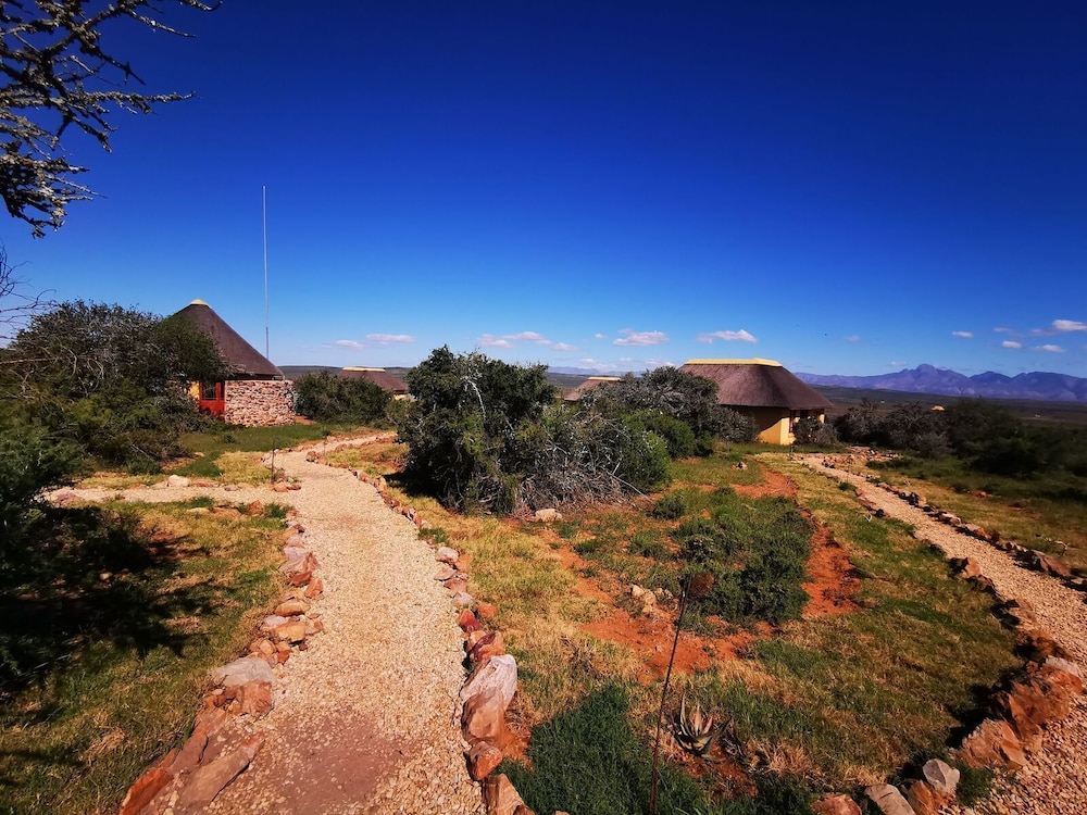 Blaauwbosch Private Game Reserve in Port Elizabeth, South Africa