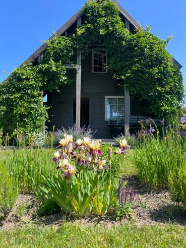 Domki w Porcie Genaker in Gizycko, Poland