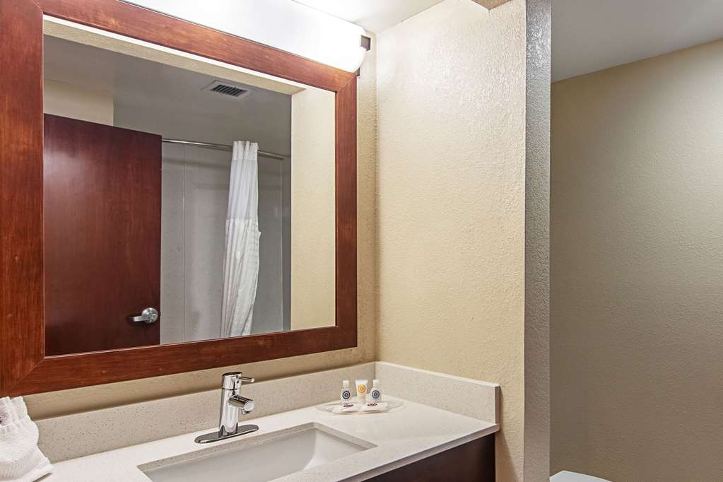 Comfort Suites Knoxville Airport - photo 9